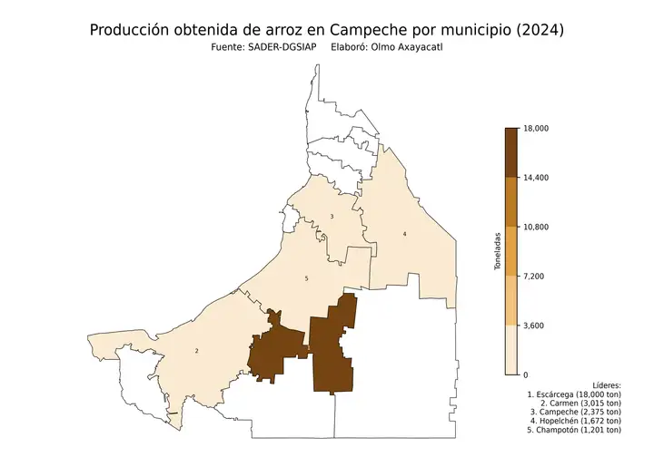Producción obtenida de arroz en Campeche por municipio