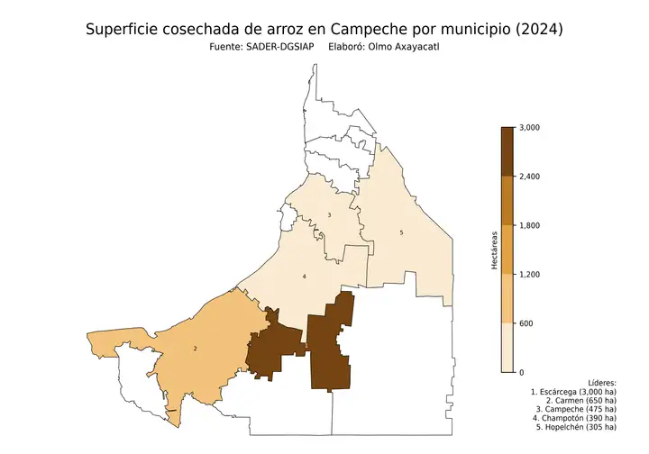Superficie cosechada de arroz en Campeche por municipio