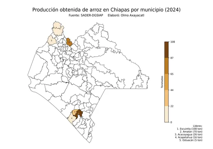 Producción obtenida de arroz en Chiapas por municipio