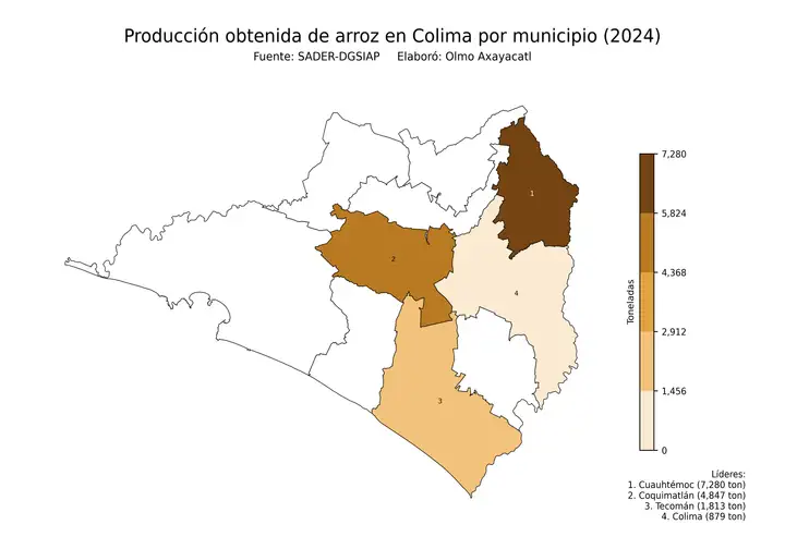 Producción obtenida de arroz en Colima por municipio