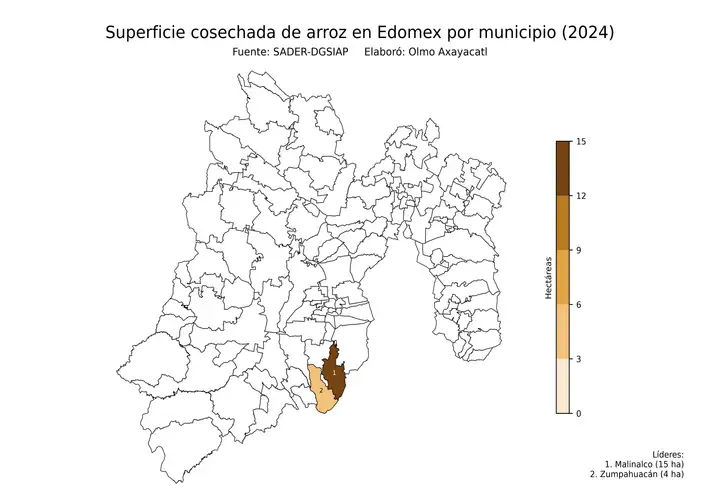 Superficie cosechada de arroz en Estado de México por municipio