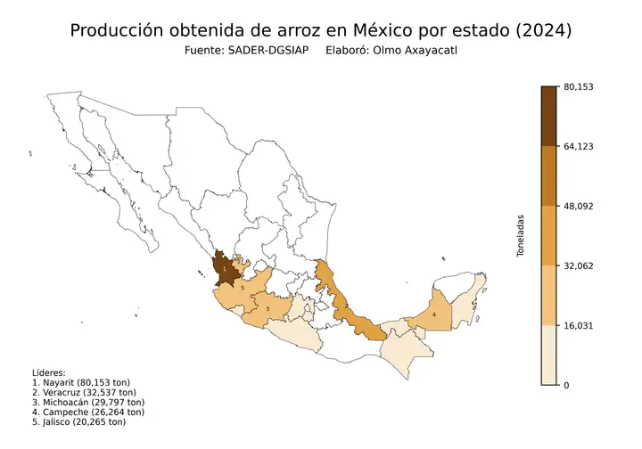 Producción obtenida de arroz en México por estado