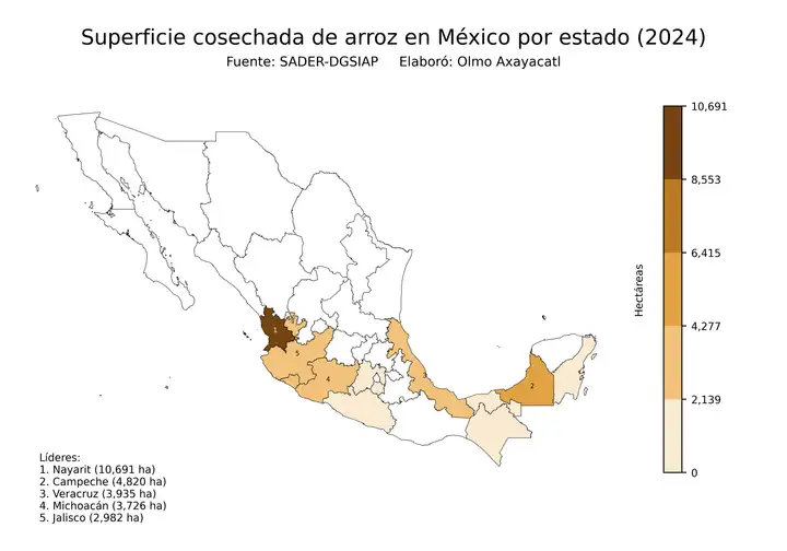Superficie cosechada de arroz en México por estado