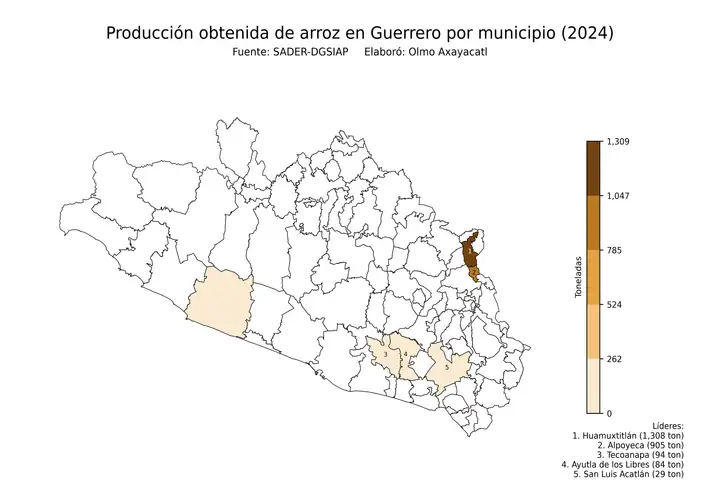 Producción obtenida de arroz en Guerrero por municipio