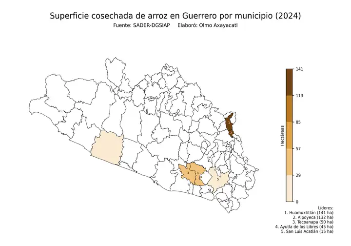 Superficie cosechada de arroz en Guerrero por municipio
