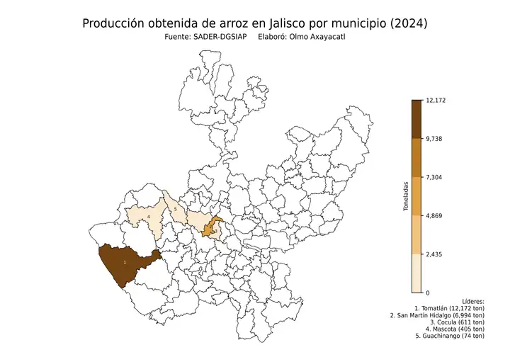 Producción obtenida de arroz en Jalisco por municipio