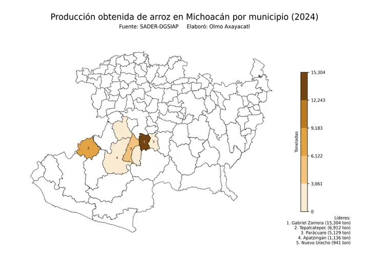 Producción obtenida de arroz en Michoacán por municipio