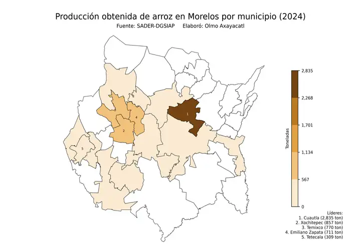 Producción obtenida de arroz en Morelos por municipio