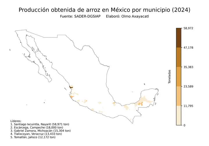 Producción obtenida de arroz en México por municipio