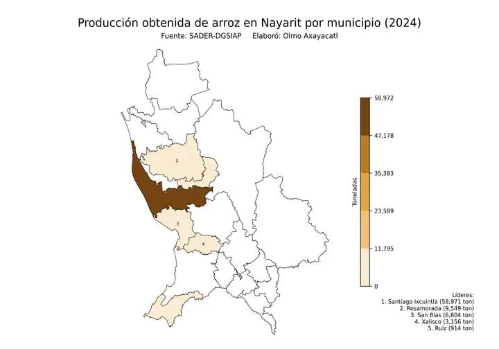 Producción obtenida de arroz en Nayarit por municipio