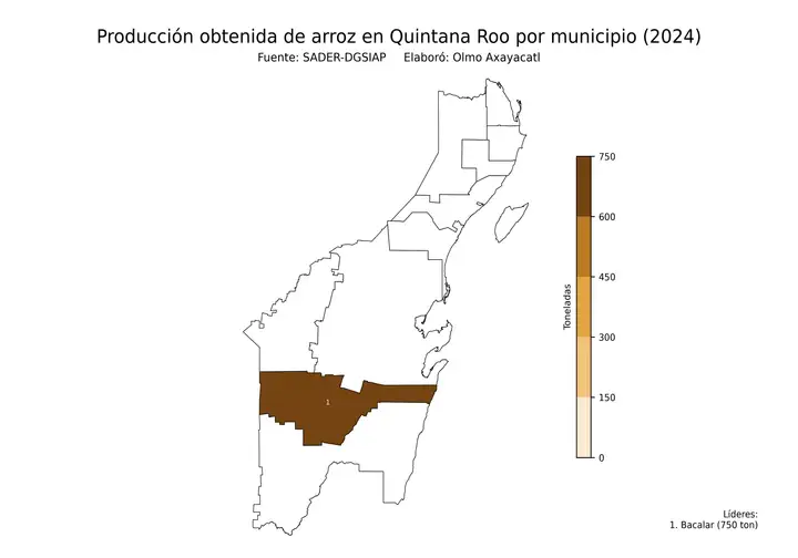 Producción obtenida de arroz en Quintana Roo por municipio