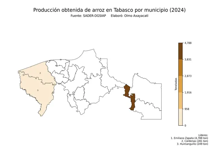 Producción obtenida de arroz en Tabasco por municipio