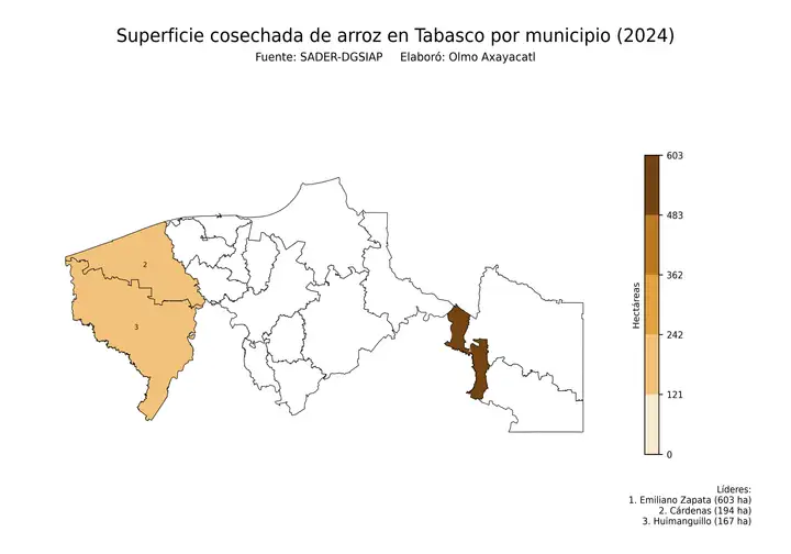 Superficie cosechada de arroz en Tabasco por municipio