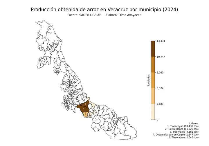 Producción obtenida de arroz en Veracruz por municipio