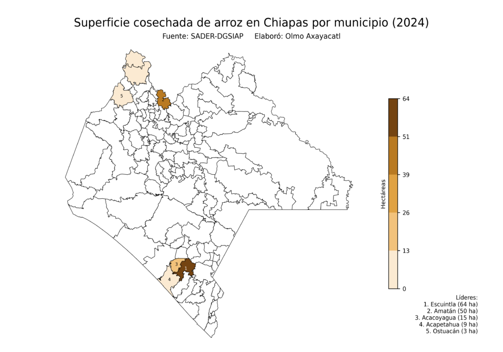 México Producción Agrícola Arroz Chiapas (superficie cosechada)