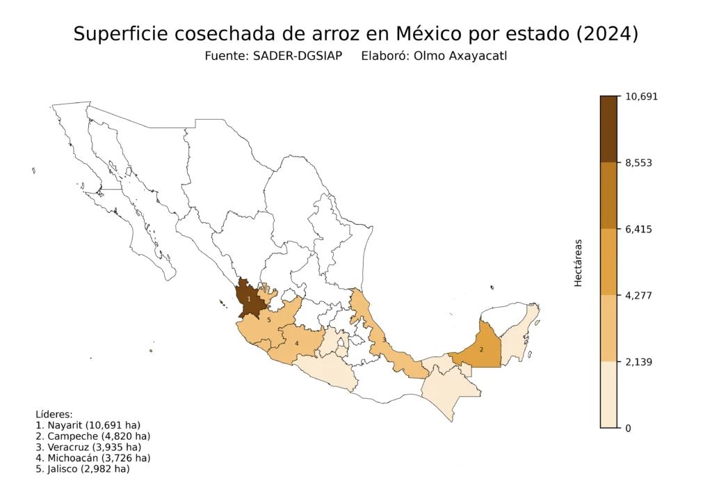 México Producción Agrícola Arroz (Estados Superficie)
