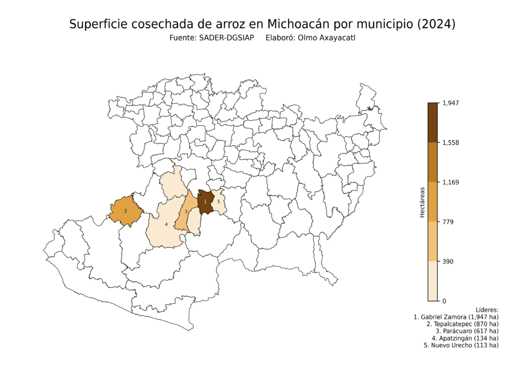 México Producción Agrícola Arroz Michoacán (superficie cosechada)