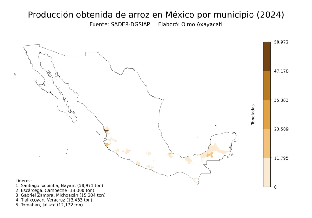 México Producción Agrícola Arroz (Municipios Producción)