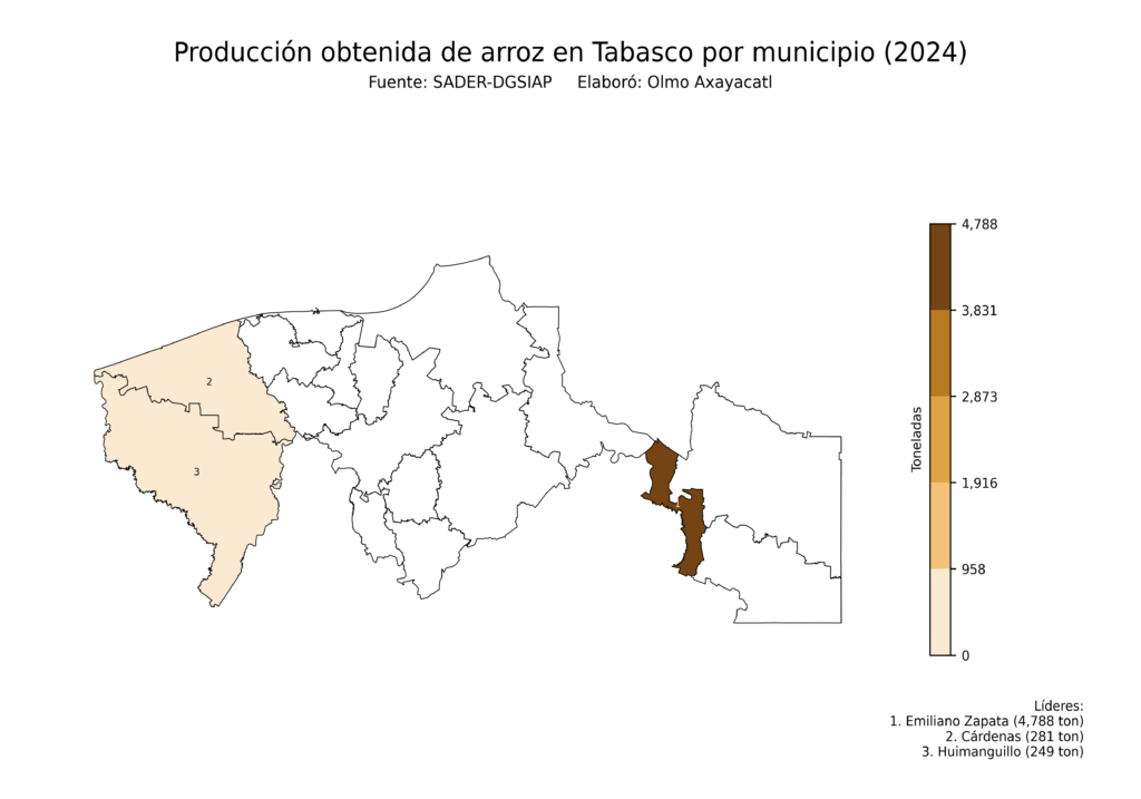 México Producción Agrícola Arroz Tabasco (producción obtenida)