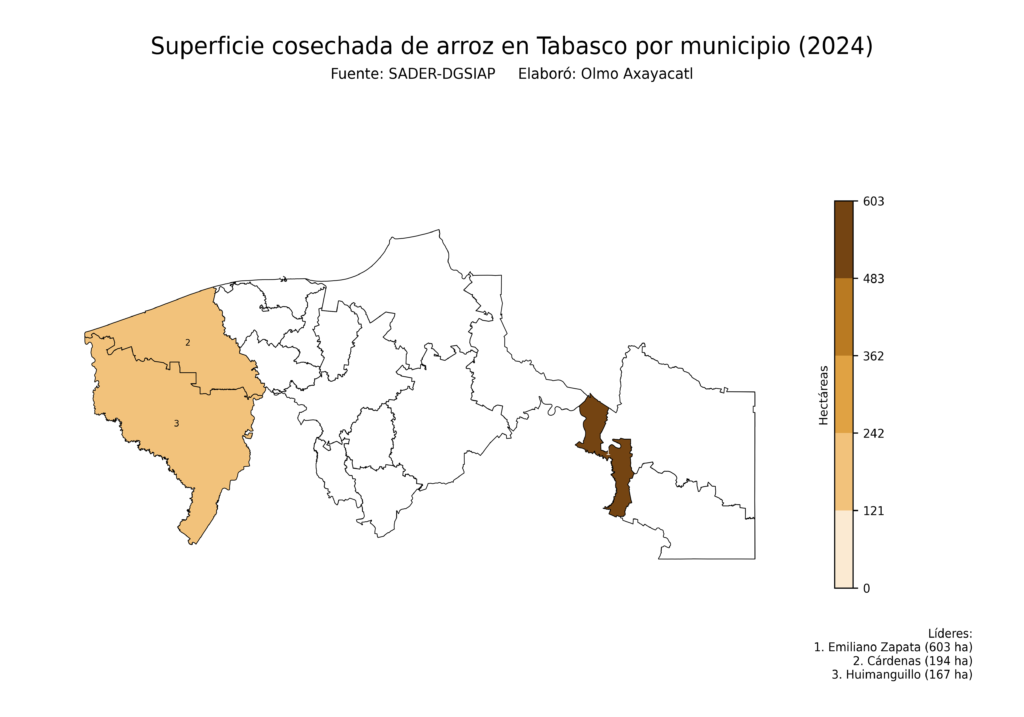 México Producción Agrícola Arroz Tabasco (superficie cosechada)