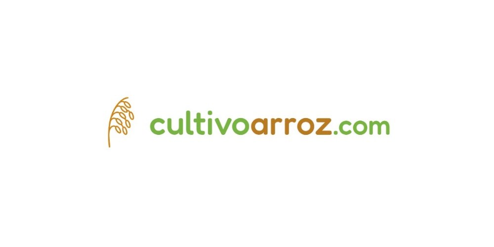 Análisis de la producción de arroz en México durante 2023-2025